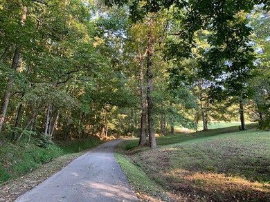 2160 Old Mineral Springs Rd, La Fayette, GA 30728 - photo 2