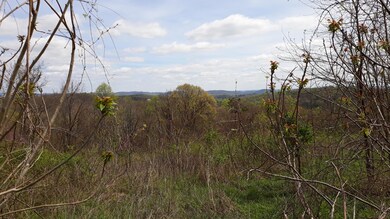 0 0 Maples Hollow Rd unit 1114351, Blaine, TN 37709 - photo 5