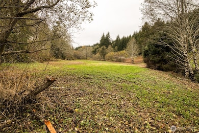 763 Geissler Rd, Montesano, WA 98563 - photo 5