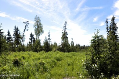 D19 Alaskan Wildwood Ranch, Anchor Point, AK 99556 - photo 3