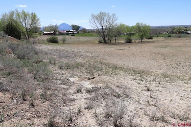 2606 Fairway Dr, Cortez, CO 81321 - photo 5