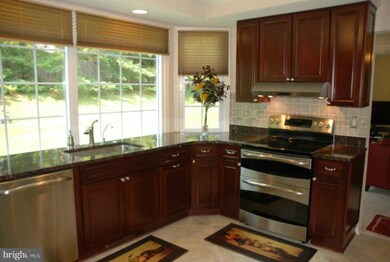 11413 Frances Green Dr, North Potomac, MD 20878 - photo 5