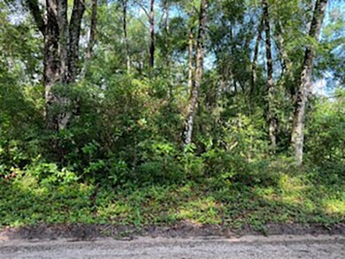 Lot  38 Neeley Rd, Crawfordville, FL 32327 - photo 3