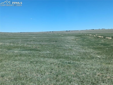 View of local wilderness with a rural view