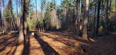 0-36 Bear Paw Trail unit 36, Littleton, NH 03561 - photo 6