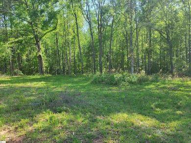 3151 N Highway 14, Greer, SC 29651 - photo 3