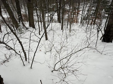 9861 E School Section Lake Dr, Morton Township, MI 49332 - photo 3