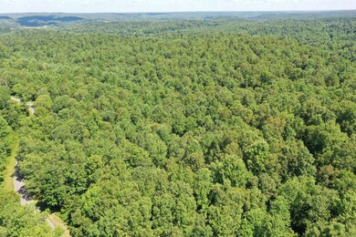 1921 McGee Rd, Linden, TN 37096 - photo 2