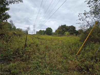 V/L Parkman Rd, Windham, OH 44288 - photo 5