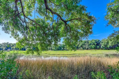 Marsh Views