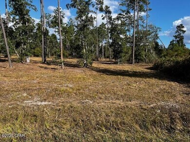 00 Jarrott Daniels Rd, Wewahitchka, FL 32465 - photo 5