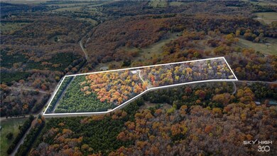 11677 Elk Ridge, Wesley, AR 72773 - photo 6