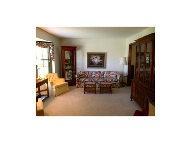 Newer Carpet & 2