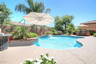 01 Backyard