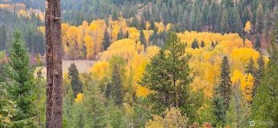 11411 Shugart Flats Rd, Leavenworth, WA 98826 - photo 3