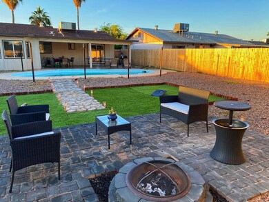 backyard5