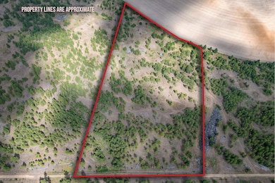 35430 Prairie Ln N unit Lot 3, Creston, WA 99117 - photo 2