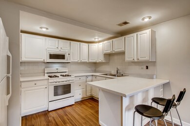 722 S Oakley Blvd unit 1, Chicago, IL 60612 - photo 7