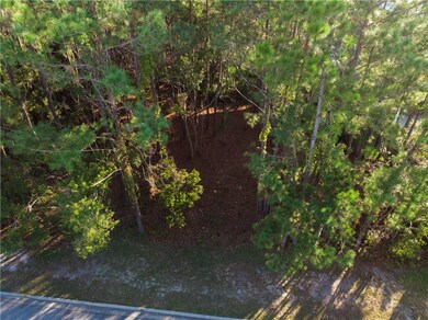 2019 Sea Palms Dr W, Saint Simons Island, GA 31522 - photo 5