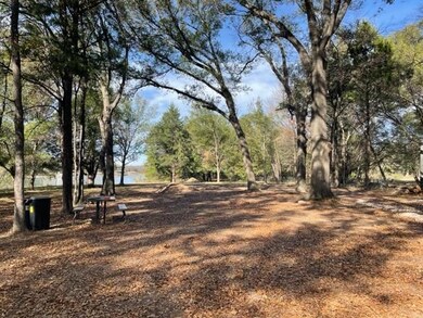 2231 SE County Rd, Kerens, TX 75144 - photo 5