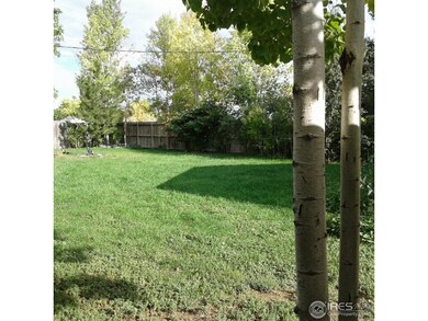 Yard View