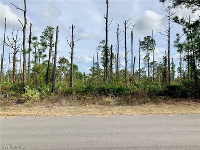 729 Santa Lucia Ave S, Lehigh Acres, FL 33974 - photo 2