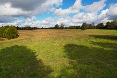 Track 3 E Farm Road 60, Franklin No. 2 Township, MO 65803 - photo 3