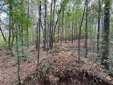 00 Villa Rica Highway 61, Dallas, GA 30157 - photo 3