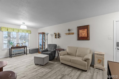 1745 Herault Place unit B, Saint Louis, MO 63125 - photo 4