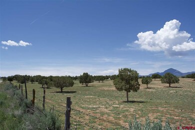 0 Road 23 5 unit 733919, Cortez, CO 81321 - photo 5