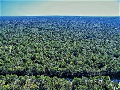 23810 Sanders Cemetary, Magnolia, TX 77355 - photo 6