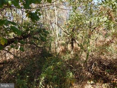 00 Douglass Dr, Douglassville, PA 19518 - photo 3