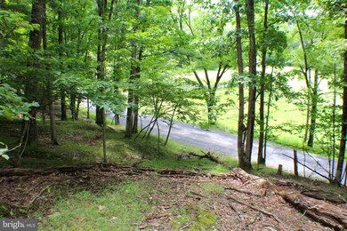 50 acs Skaggs Run & Paul Bean Rd, Baker, WV 26801 - photo 7