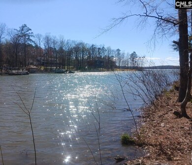 1061 Refuge Place, Chapin, SC 29036 - photo 7