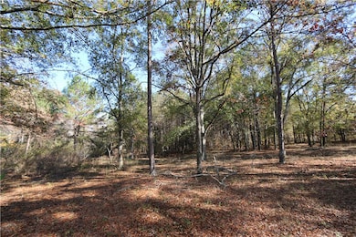 1755 Lee Road 61, Auburn, AL 36832 - photo 7