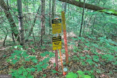 1068 Coleman River Rd, Clayton, GA 30525 - photo 4