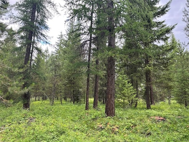 NHN Jewel Ln unit Lot 23, Trout Creek, MT 59874 - photo 5