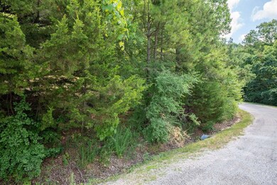 00 Ponderosa Pine Dr unit Lot 12, Pine A Township, MO 65611 - photo 4