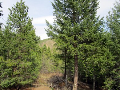 View from Deck