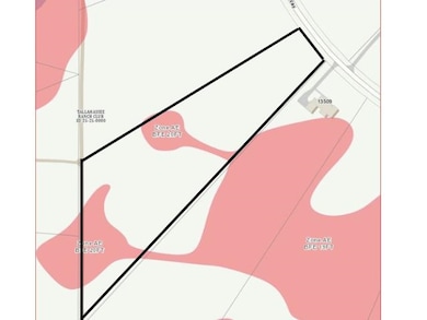 000 Hidden Horse Way, Tallahassee, FL 32305 - photo 3