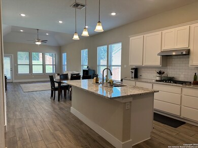 24811 Ahava, San Antonio, TX 78261 - photo 6