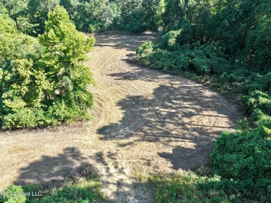 dji_fly_20240826_201726_0001_17248585089