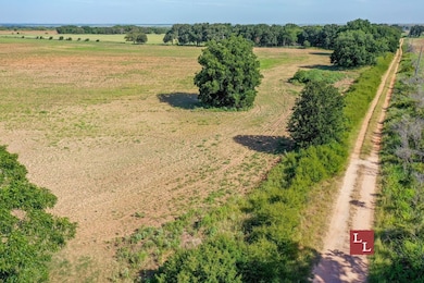 Union Valley Rd, Terral, OK 73569 - photo 5