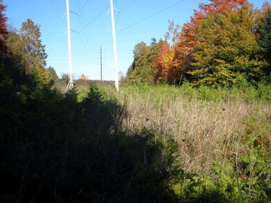 Power line