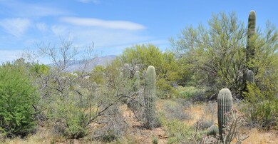 Quail Road (9)