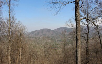 Additional View