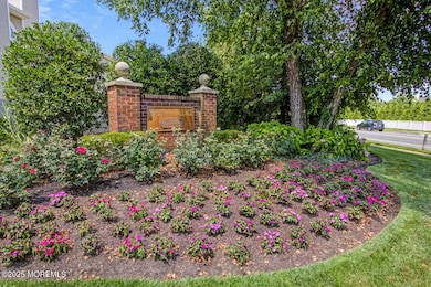 9-IMG-09301