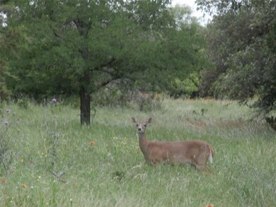 12025 Trailwood Dr, Whitney, TX 76692 - photo 2