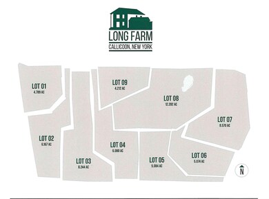 356 Gabel Rd, Callicoon, NY 12723 - photo 3