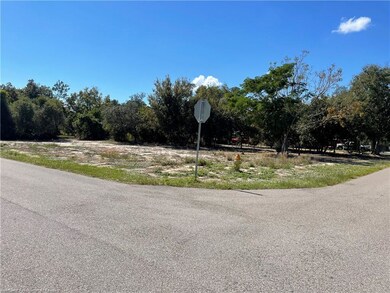 226 E Phoenix St, Lake Placid, FL 33852 - photo 3